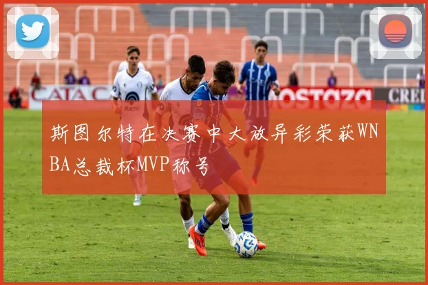 斯图尔特在决赛中大放异彩荣获WNBA总裁杯MVP称号